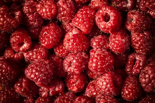 Poêle mixte : fonctionnement, avantages et choix