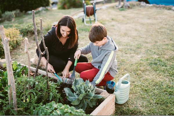 Le développement des potagers urbains à Genève pour favoriser l'environnement et le bien-être